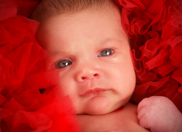 [Lilitutucloseup[3].jpg]
